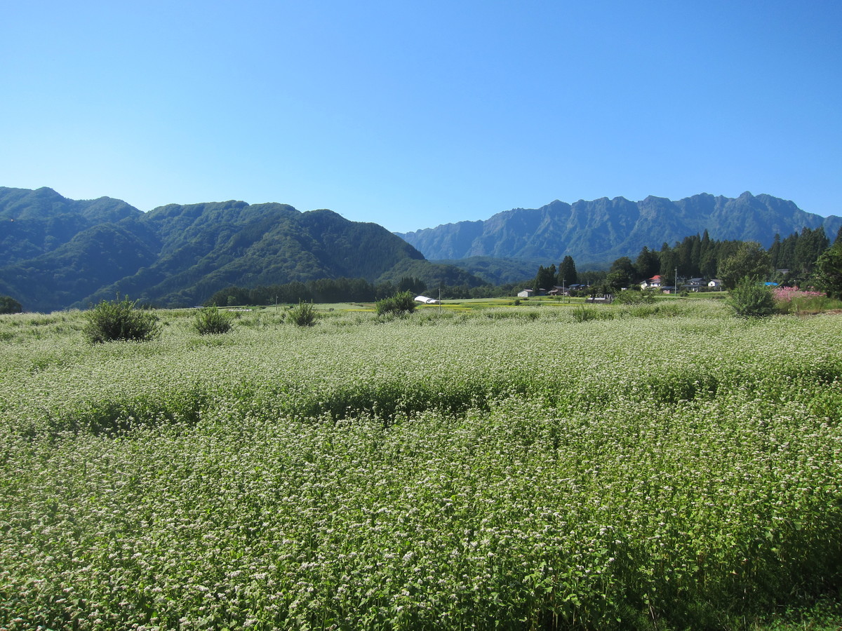 f:id:lupoGTI:20190914165252j:plain