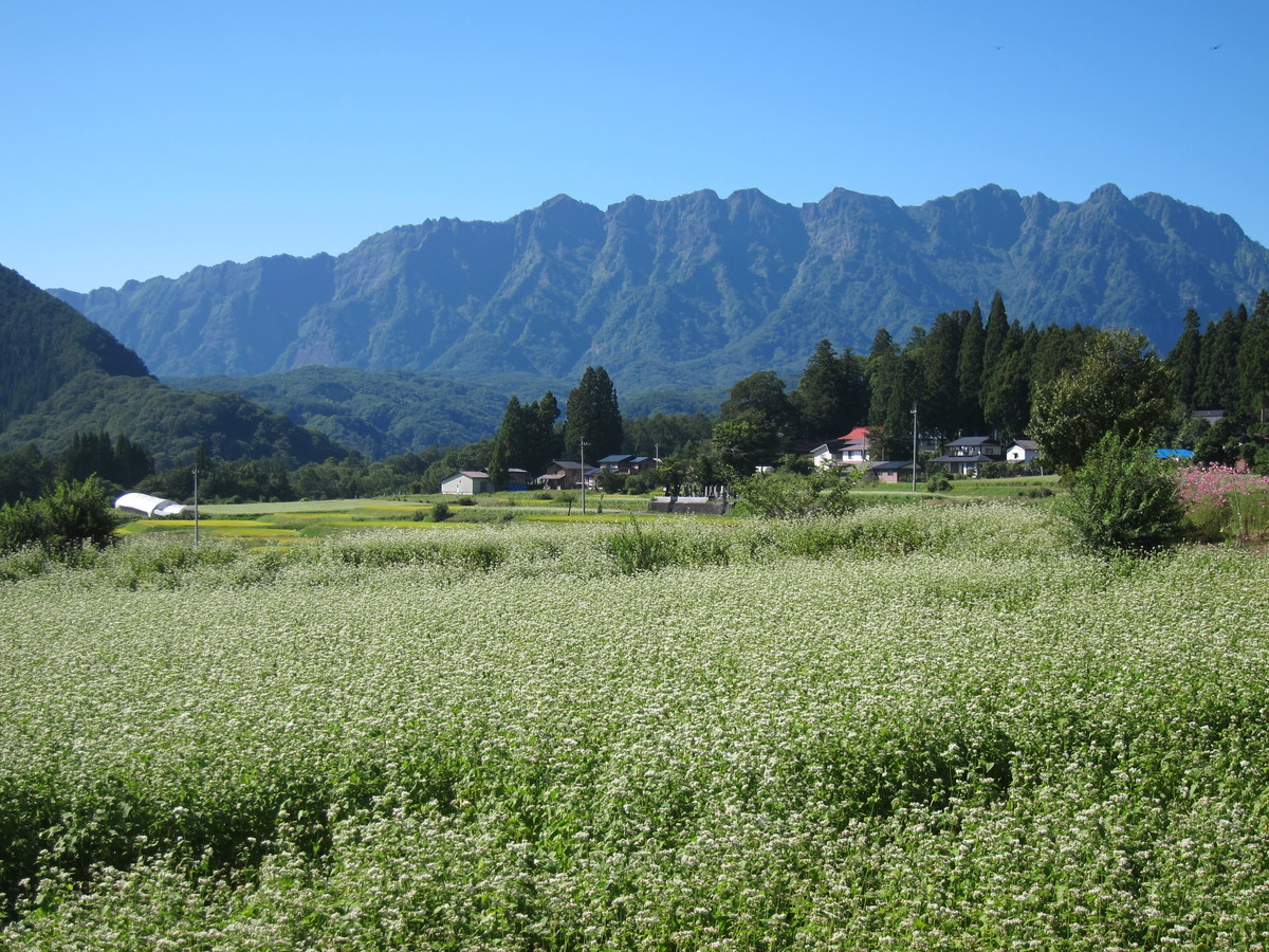 f:id:lupoGTI:20190914165258j:plain