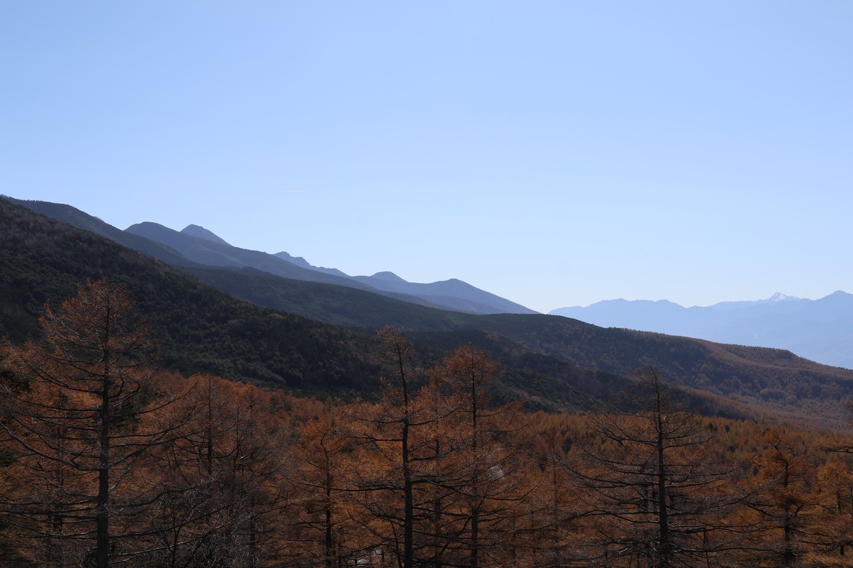 f:id:lupoGTI:20191101164611j:plain