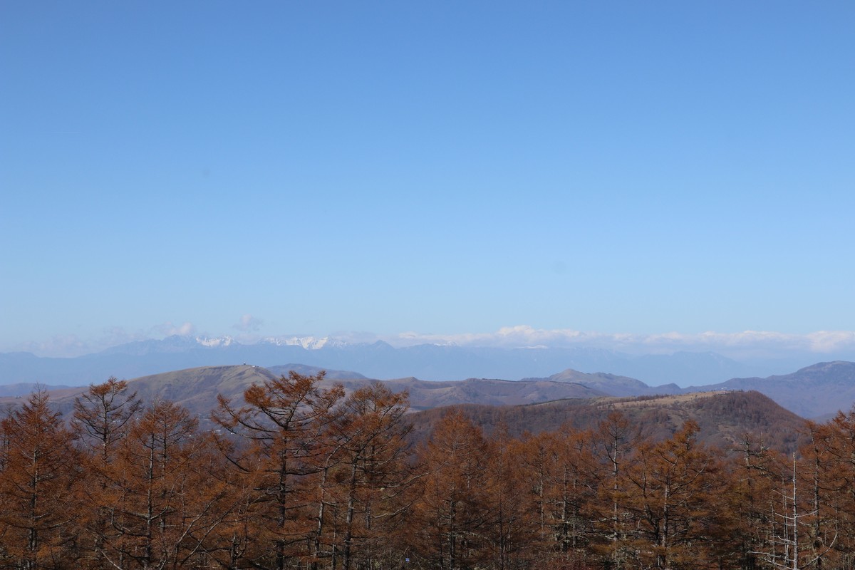 f:id:lupoGTI:20191101164650j:plain