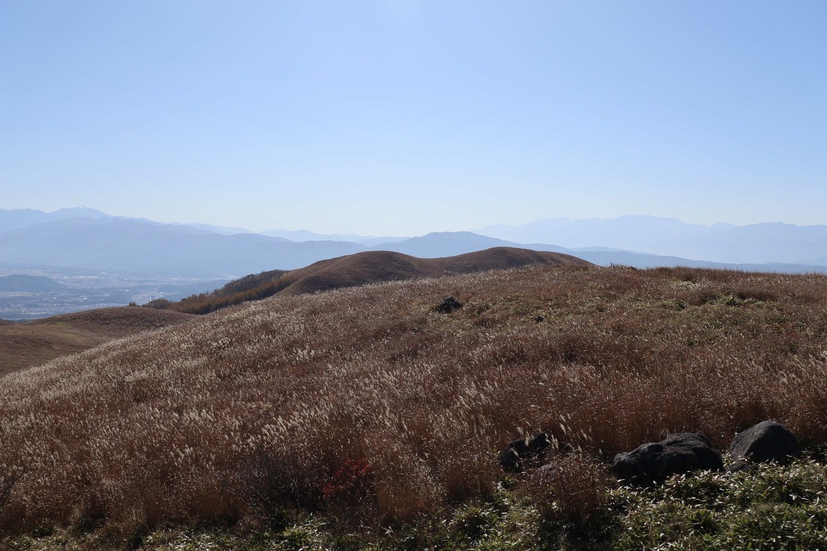 f:id:lupoGTI:20191101165621j:plain