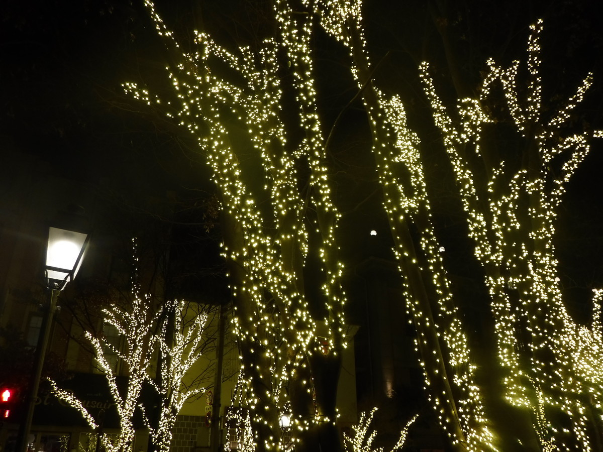 f:id:lupoGTI:20200110200353j:plain