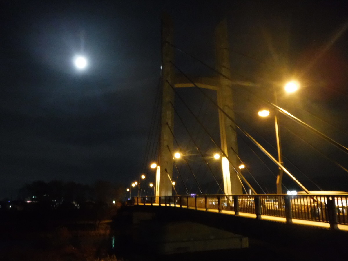 f:id:lupoGTI:20200110200516j:plain