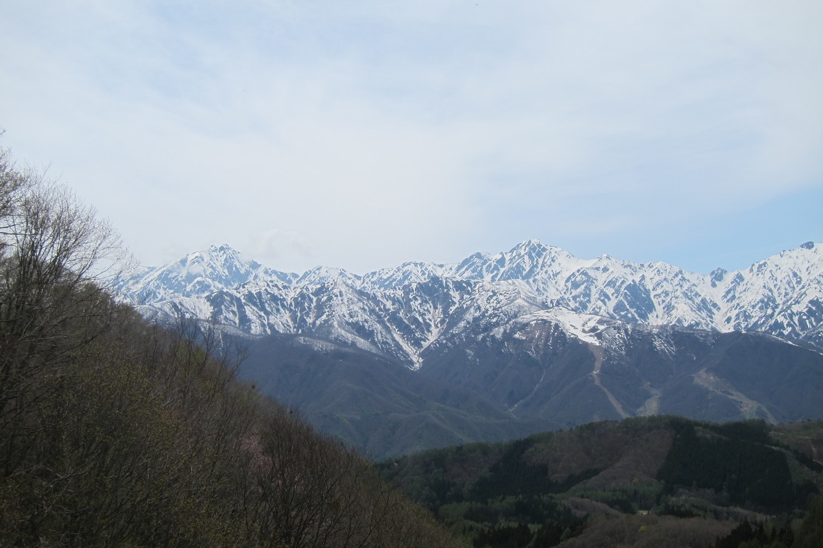 f:id:lupoGTI:20200505164821j:plain f:id:lupoGTI:20200505164821j:plain