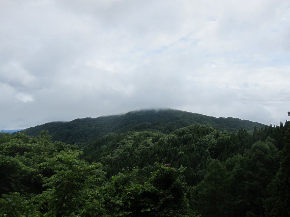 f:id:lupoGTI:20200712125114j:plain