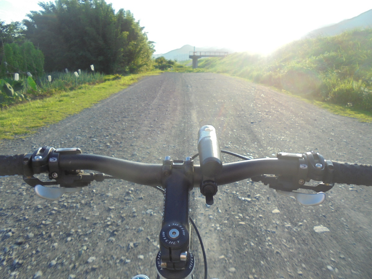 f:id:lupoGTI:20200731193301j:plain