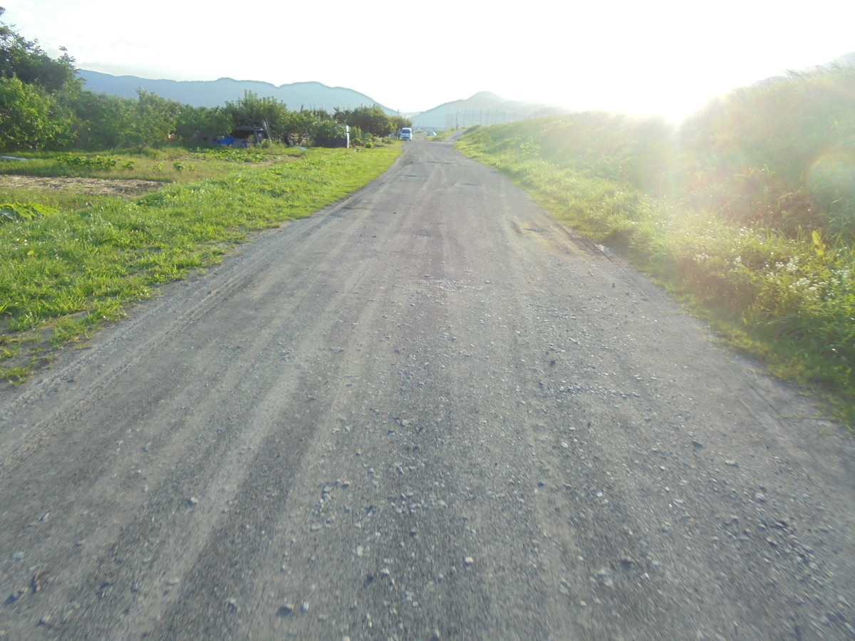 f:id:lupoGTI:20200731193305j:plain