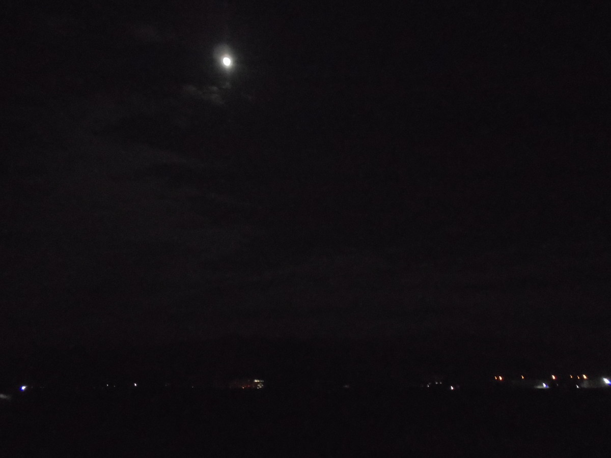 f:id:lupoGTI:20201127202706j:plain