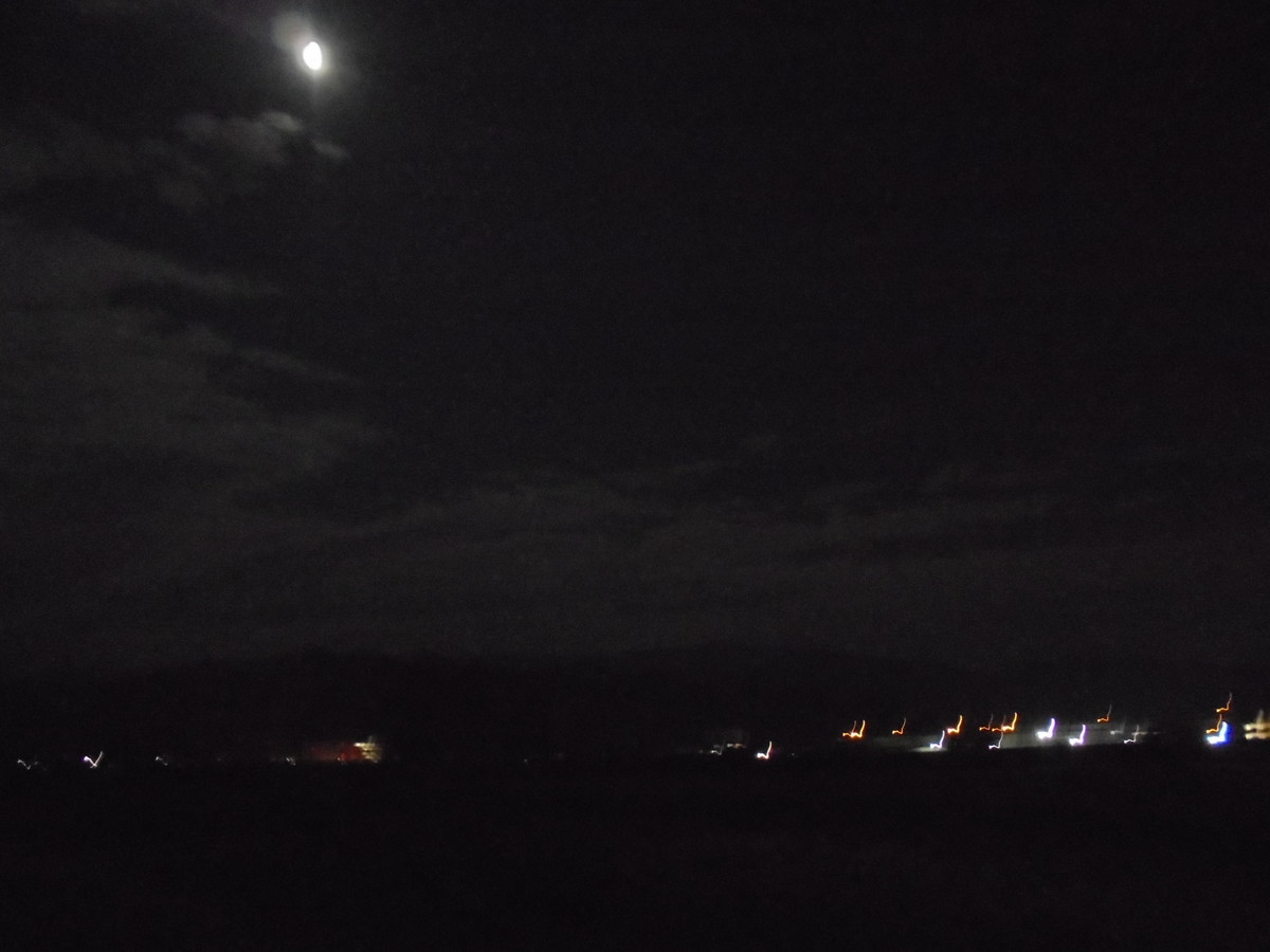 f:id:lupoGTI:20201127202808j:plain