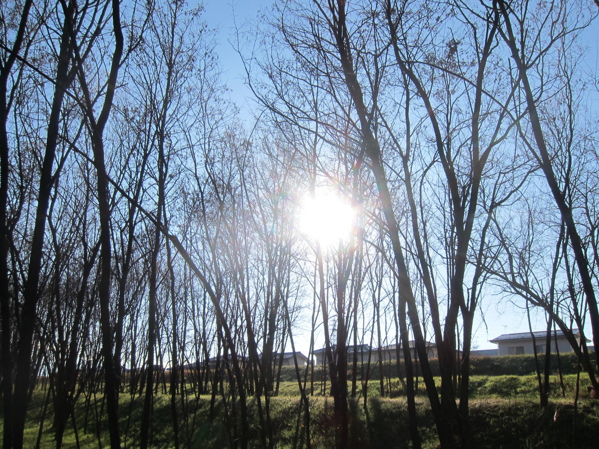 f:id:lupoGTI:20201205134643j:plain