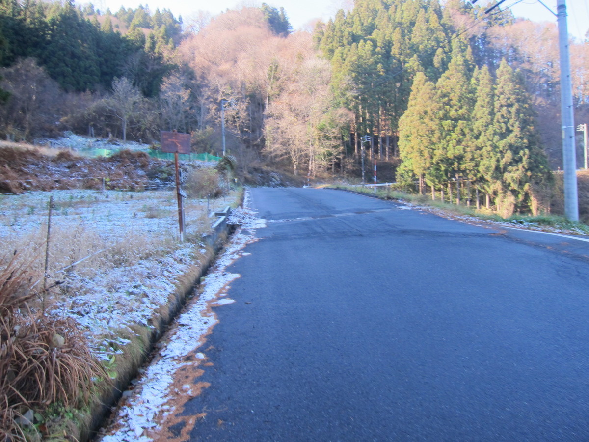 f:id:lupoGTI:20201205135523j:plain