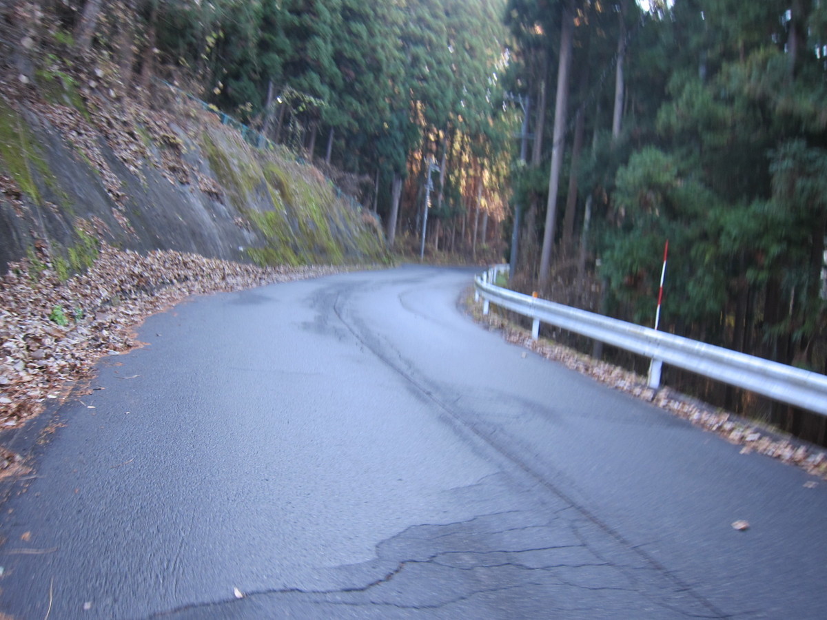 f:id:lupoGTI:20201205135536j:plain