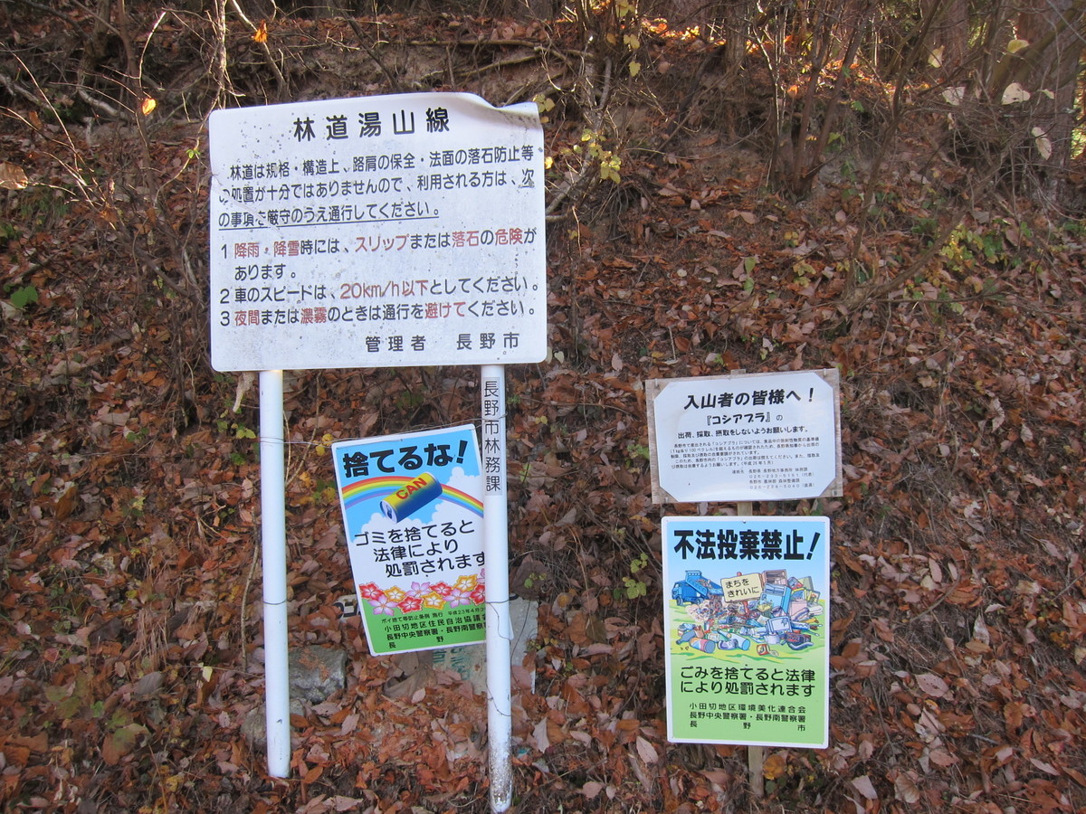 f:id:lupoGTI:20201205135550j:plain