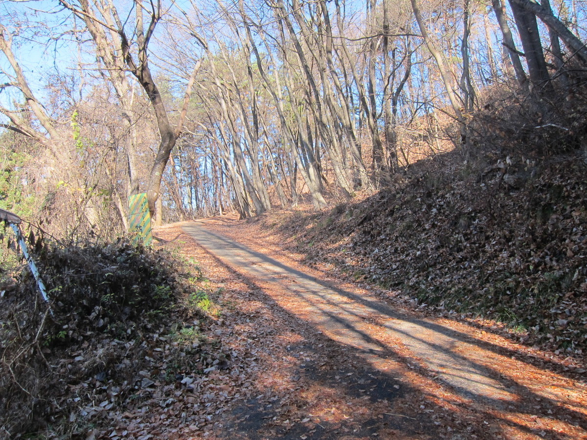 f:id:lupoGTI:20201205135602j:plain