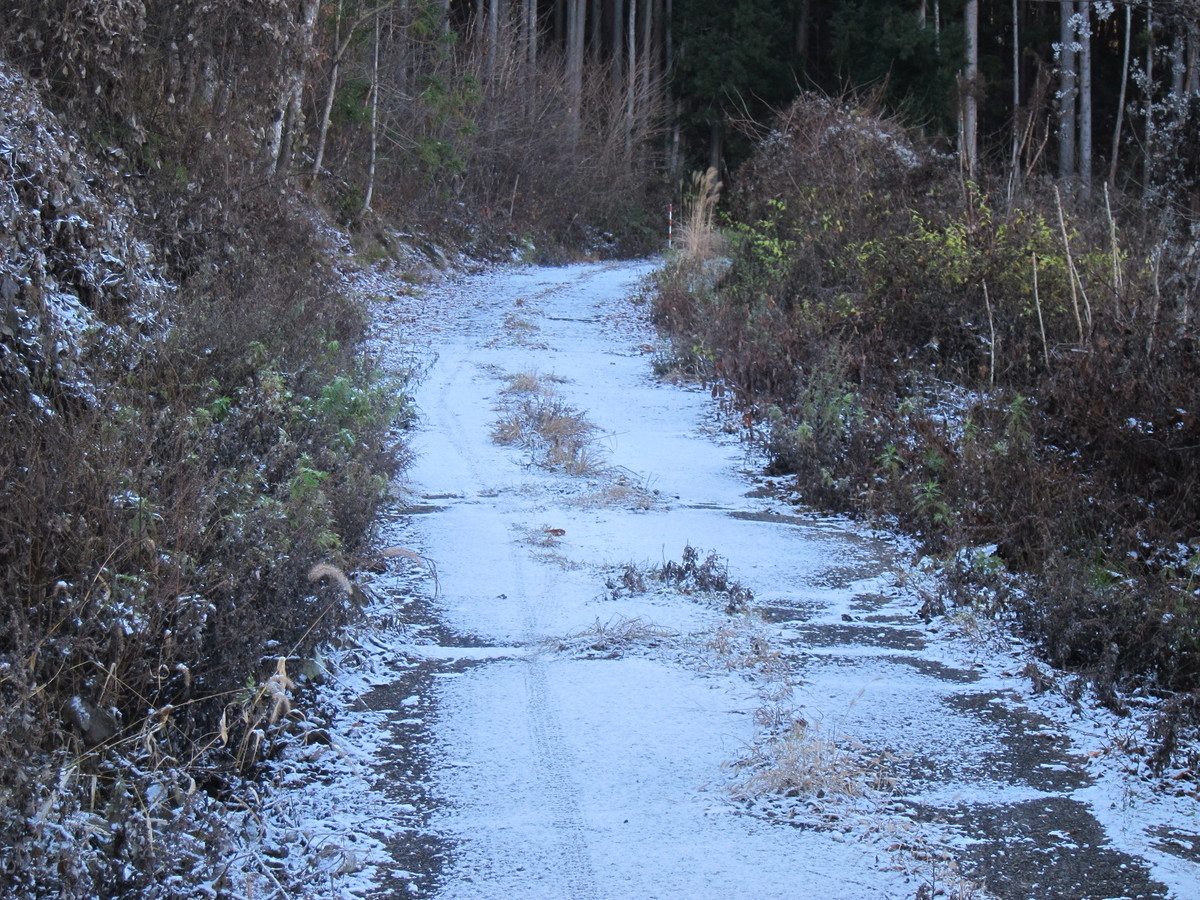 f:id:lupoGTI:20201205135712j:plain