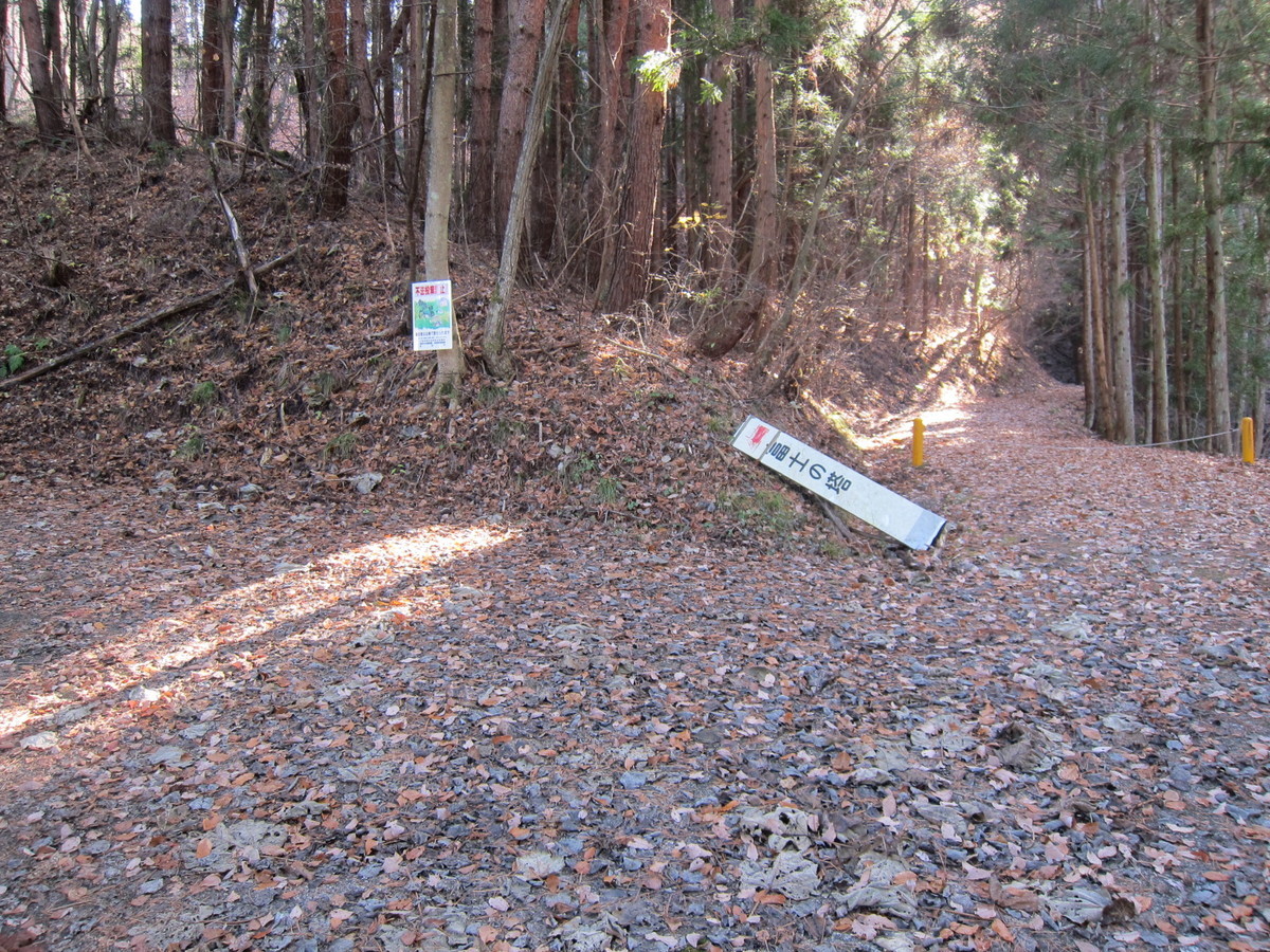 f:id:lupoGTI:20201205135732j:plain