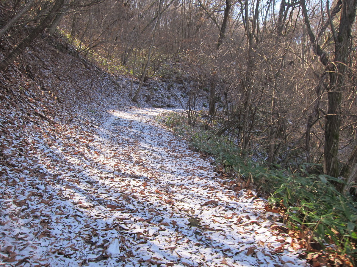 f:id:lupoGTI:20201205135807j:plain