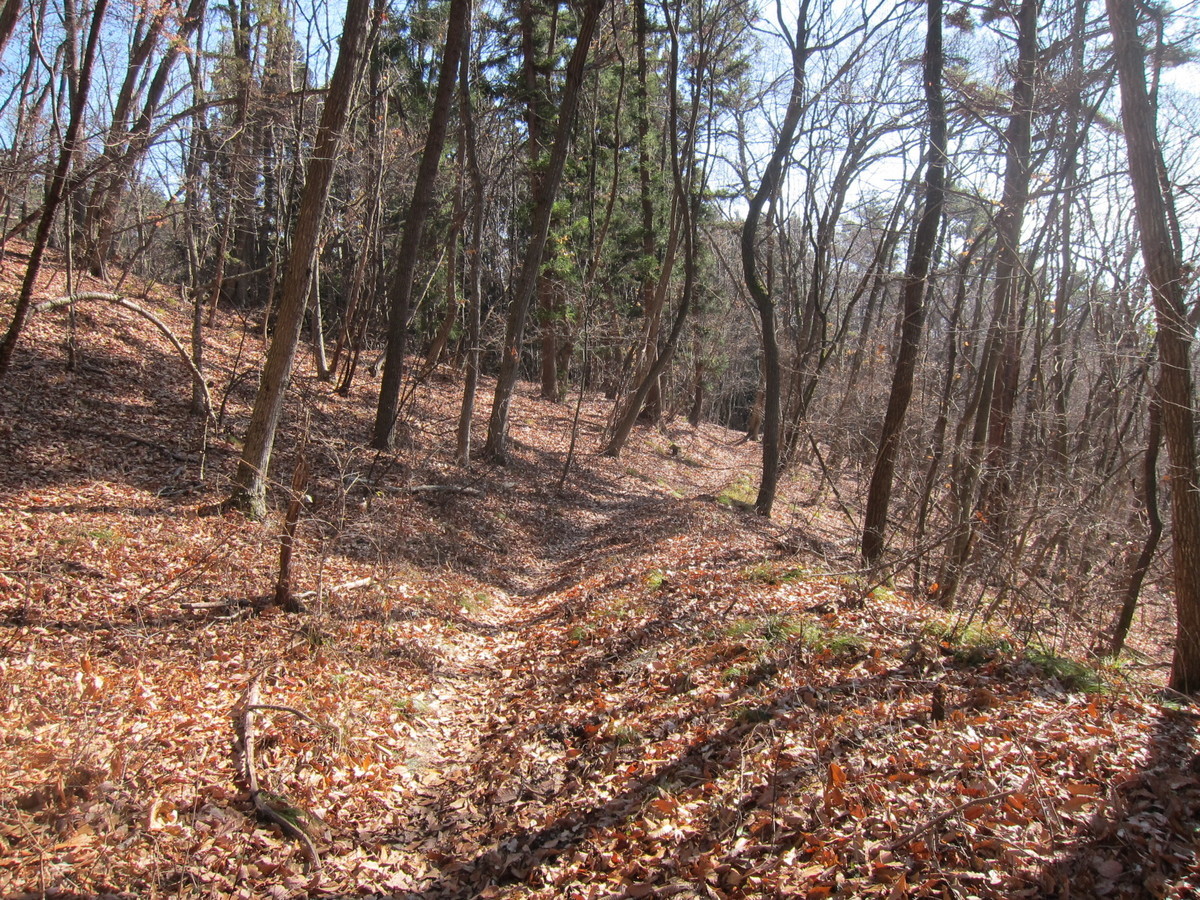 f:id:lupoGTI:20201205141108j:plain