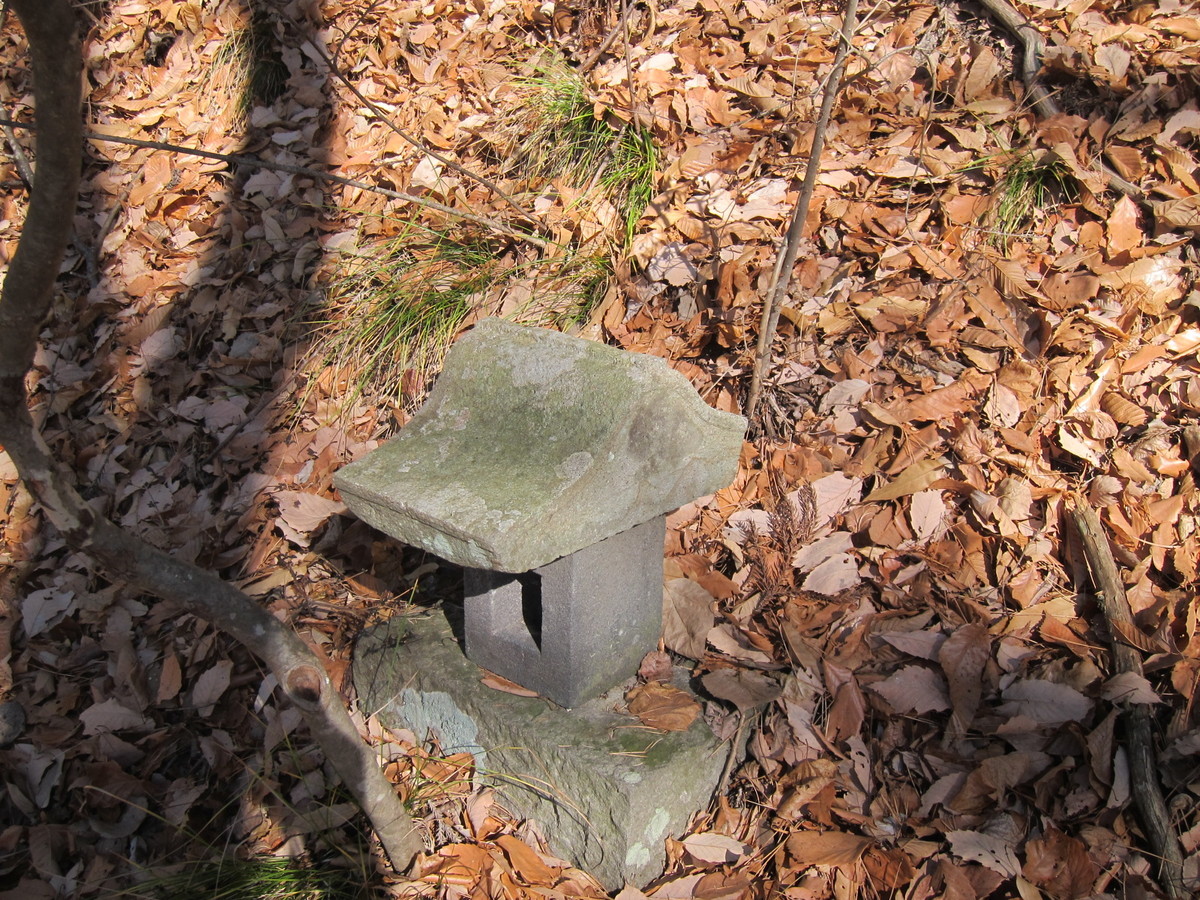 f:id:lupoGTI:20201205141122j:plain