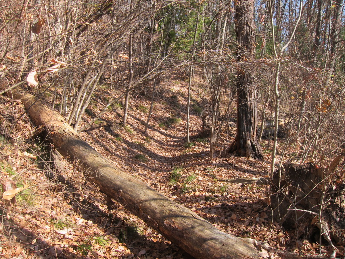 f:id:lupoGTI:20201205141140j:plain