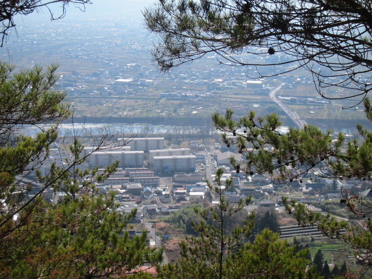 f:id:lupoGTI:20201205141158j:plain