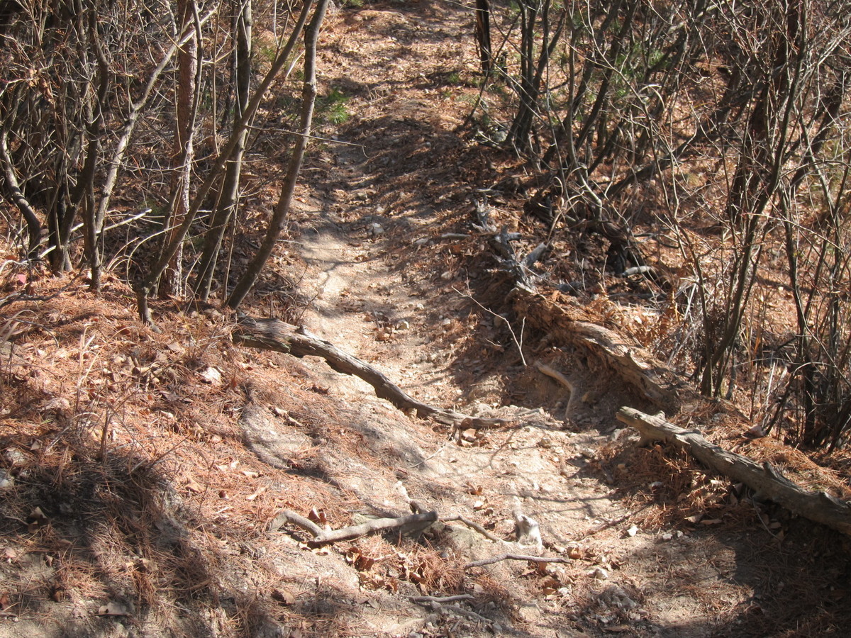 f:id:lupoGTI:20201205141213j:plain