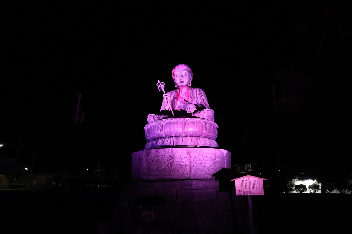 f:id:lupoGTI:20201205204445j:plain