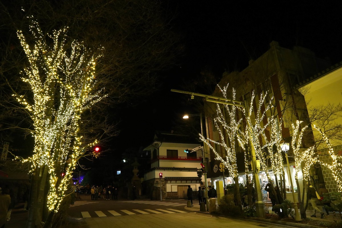 f:id:lupoGTI:20201205210253j:plain