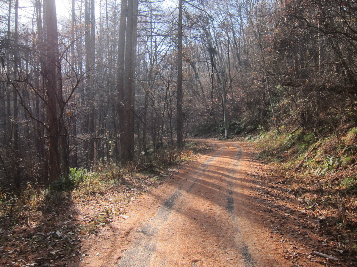 f:id:lupoGTI:20201206134616j:plain