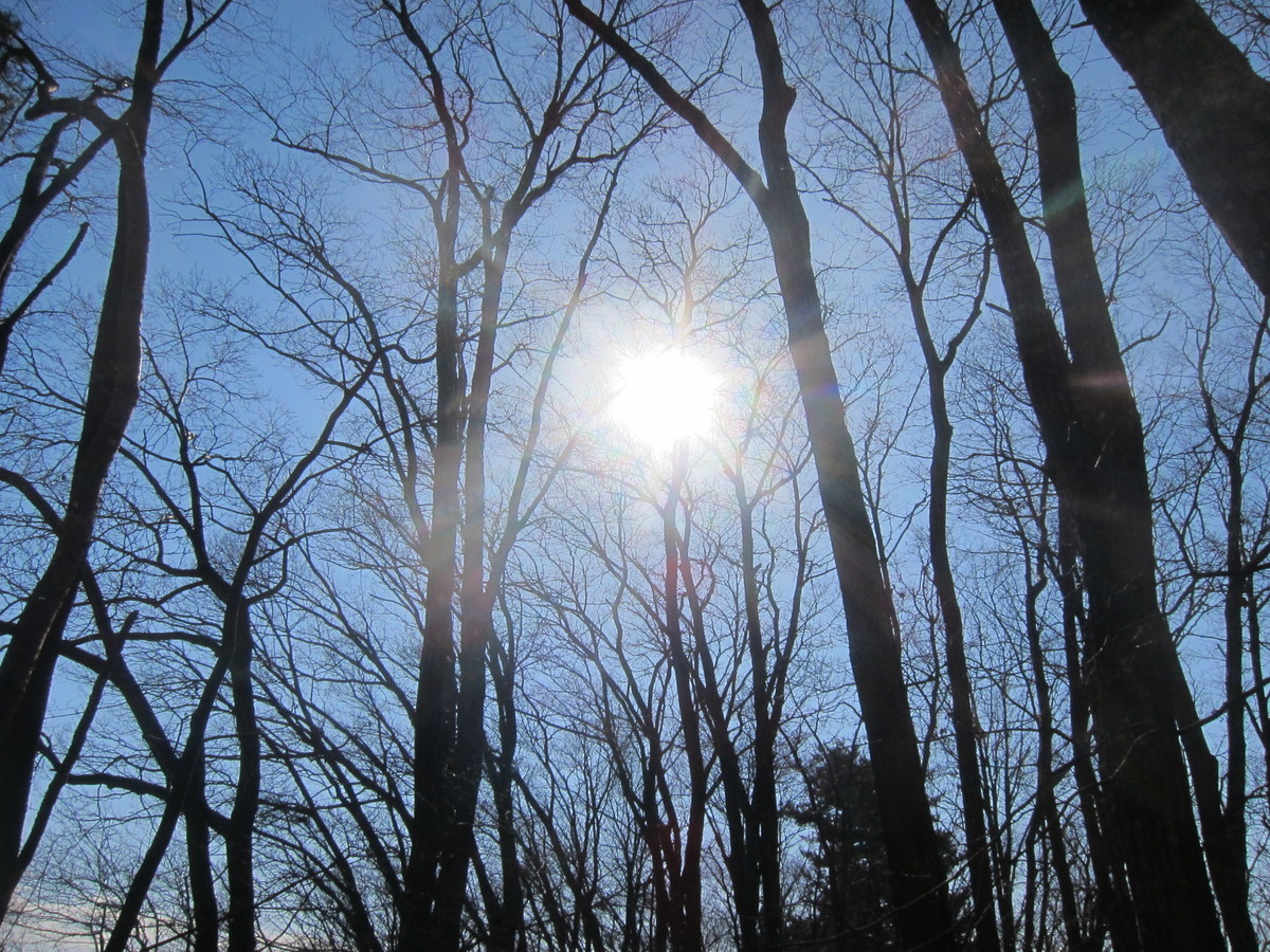 f:id:lupoGTI:20201206134805j:plain