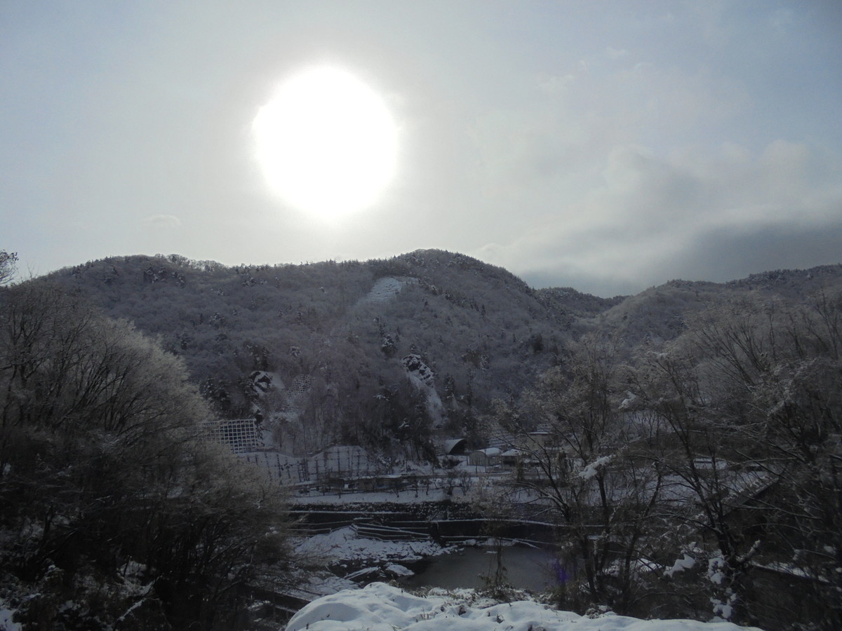 f:id:lupoGTI:20201219143419j:plain