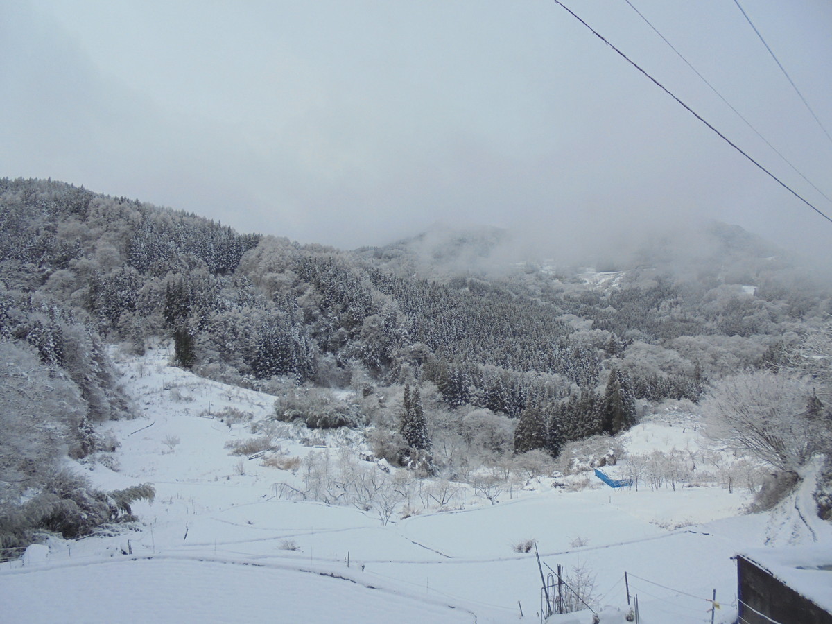 f:id:lupoGTI:20201219143605j:plain