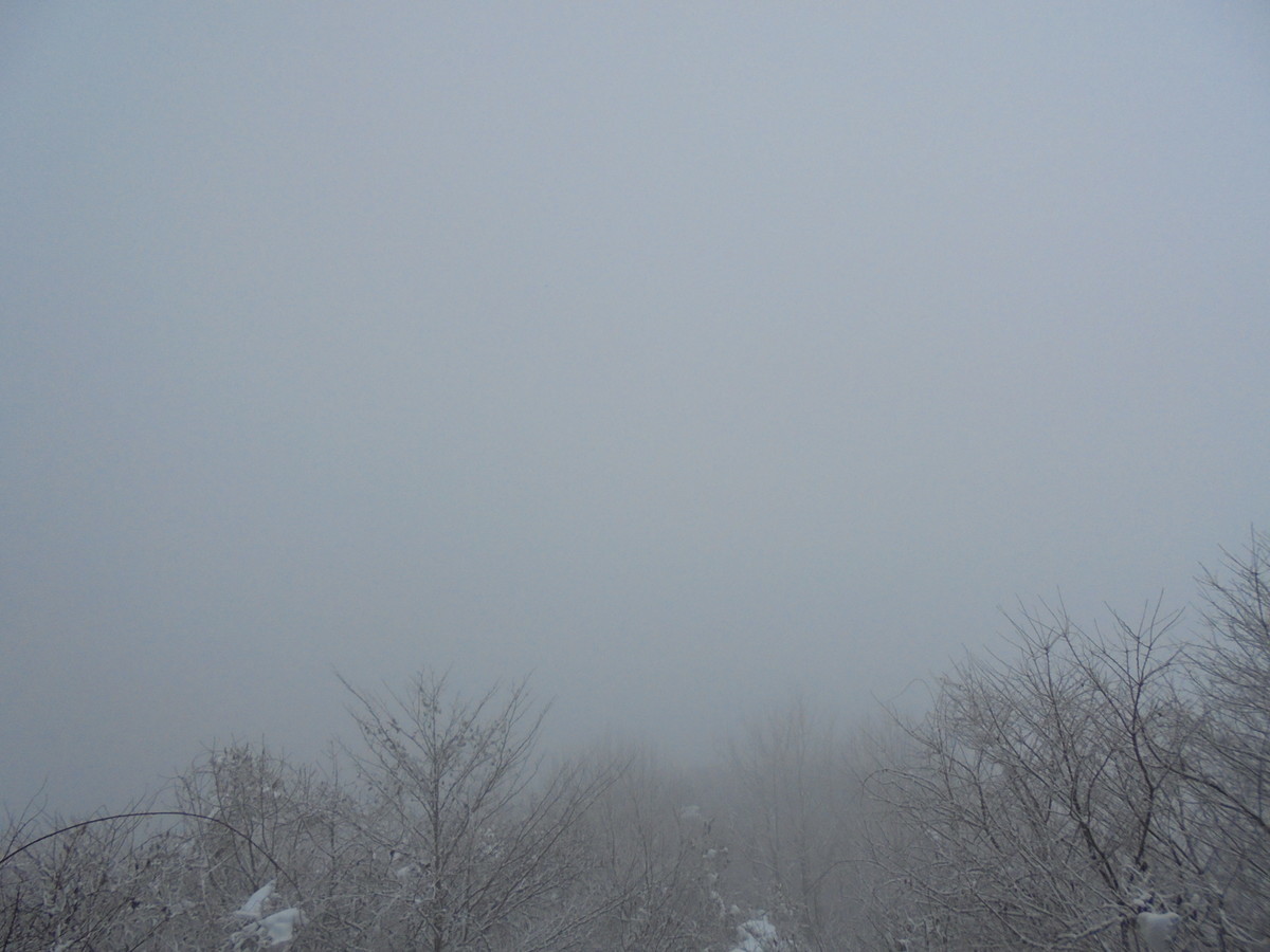 f:id:lupoGTI:20201219144017j:plain