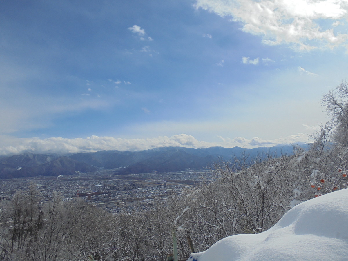 f:id:lupoGTI:20201219144101j:plain