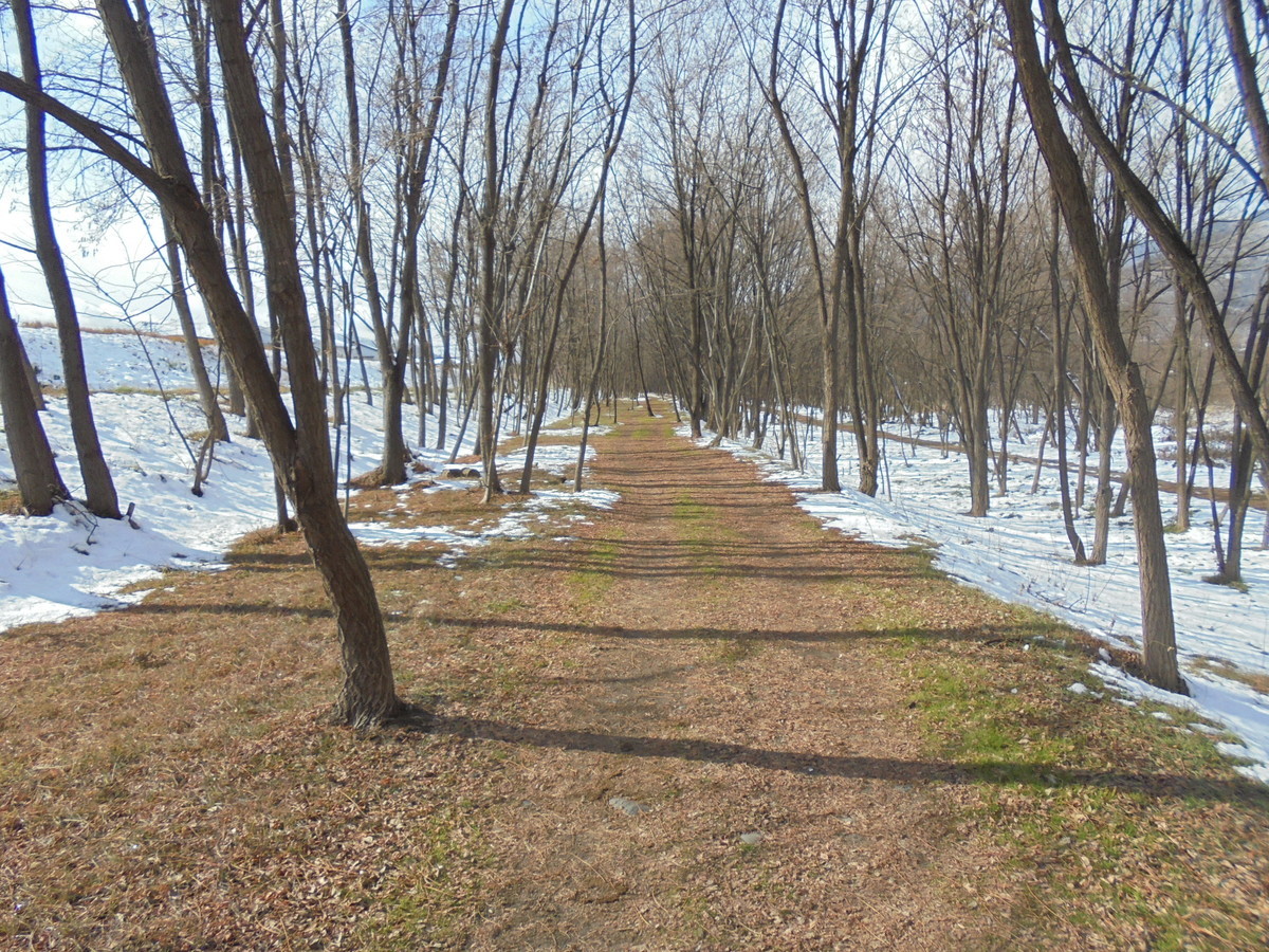 f:id:lupoGTI:20201219144149j:plain