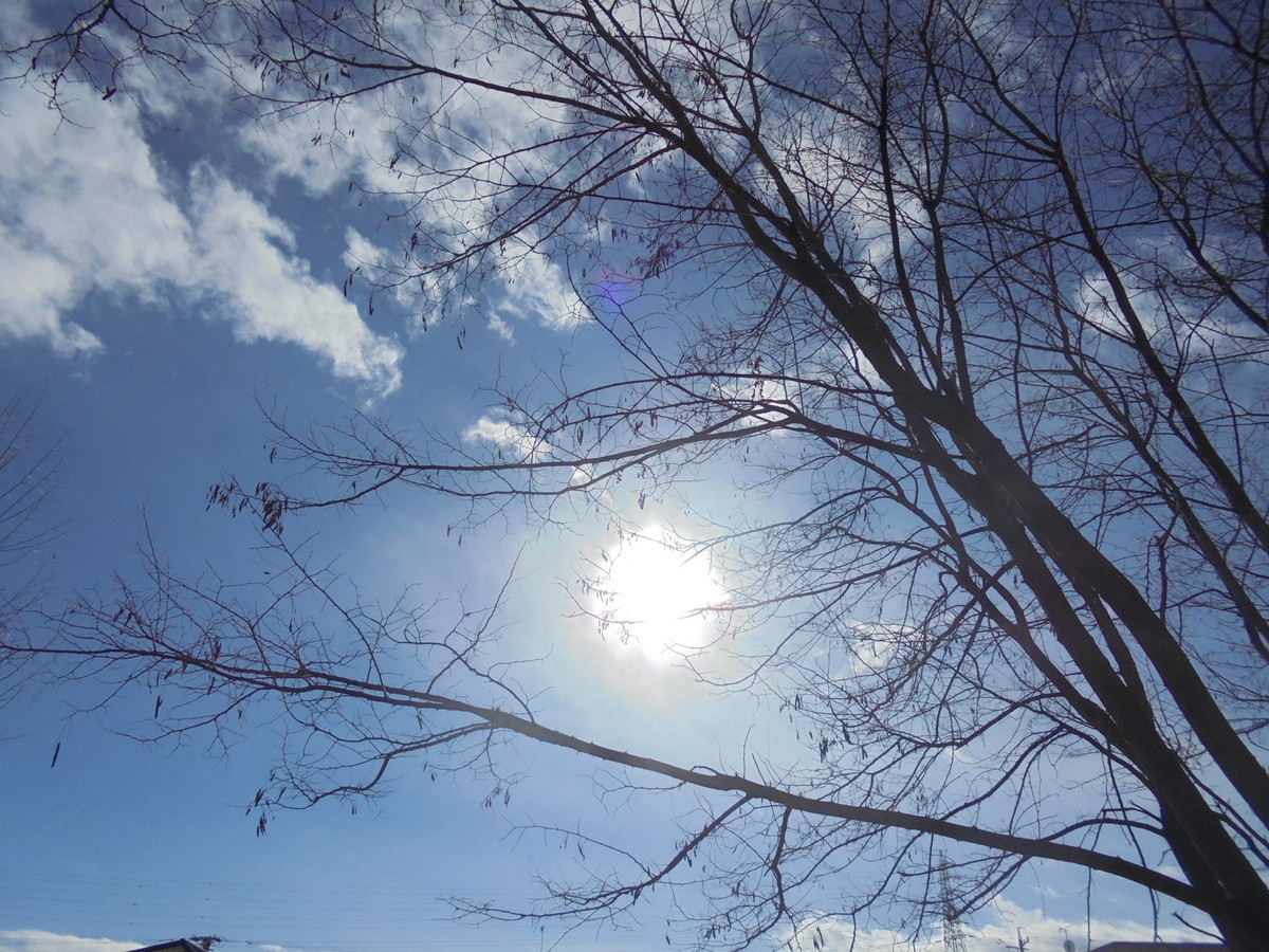 f:id:lupoGTI:20201219144200j:plain