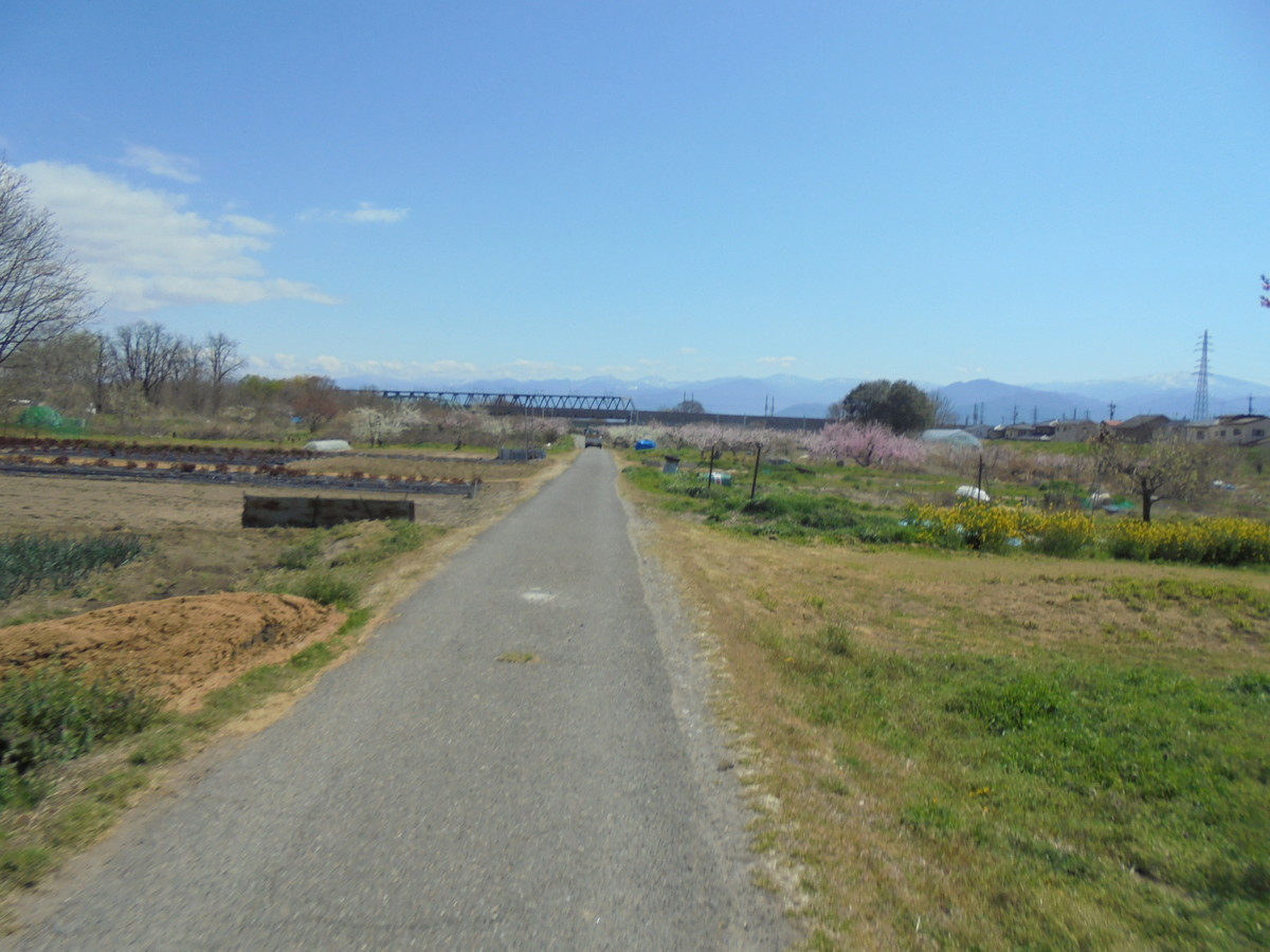 f:id:lupoGTI:20210410135606j:plain