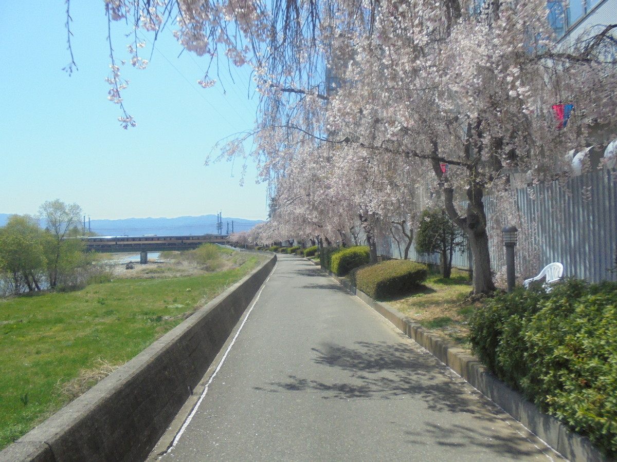 f:id:lupoGTI:20210410140537j:plain