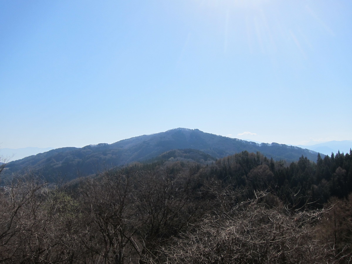 f:id:lupoGTI:20210411140051j:plain