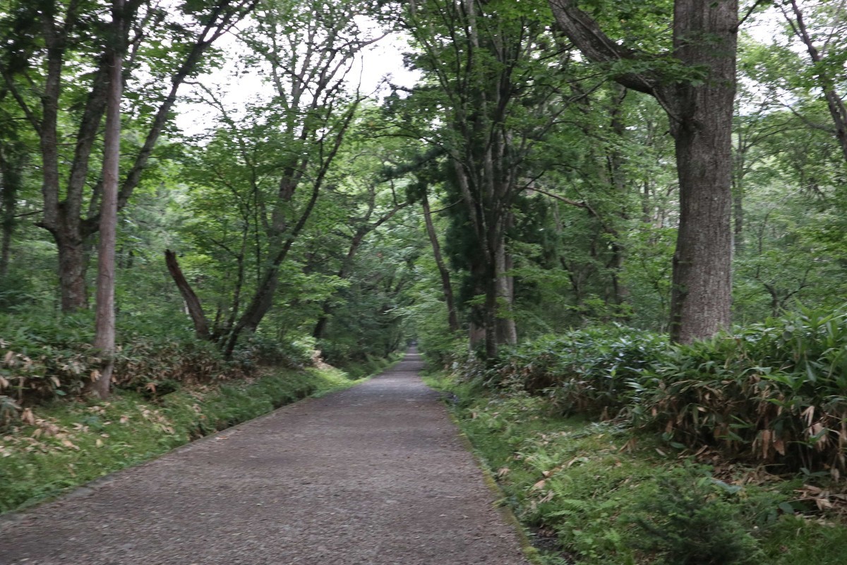 f:id:lupoGTI:20210807113458j:plain