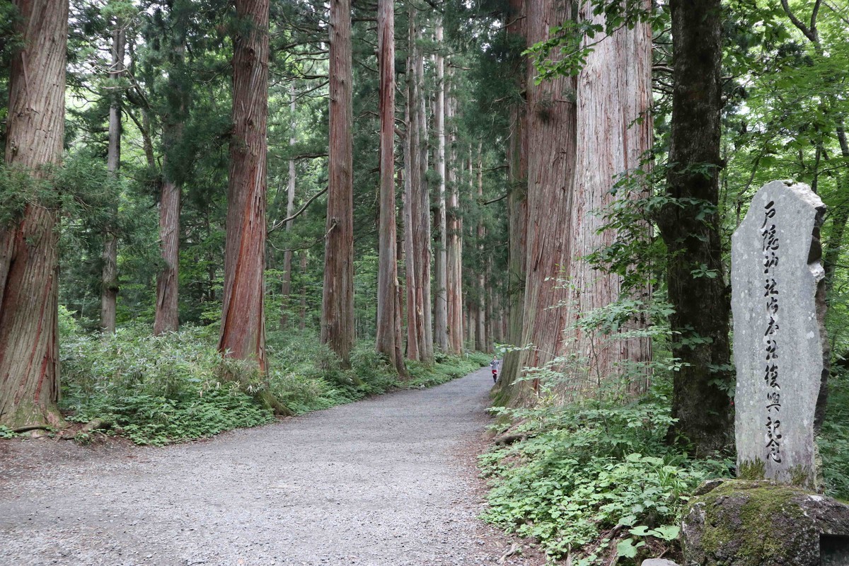 f:id:lupoGTI:20210807114247j:plain