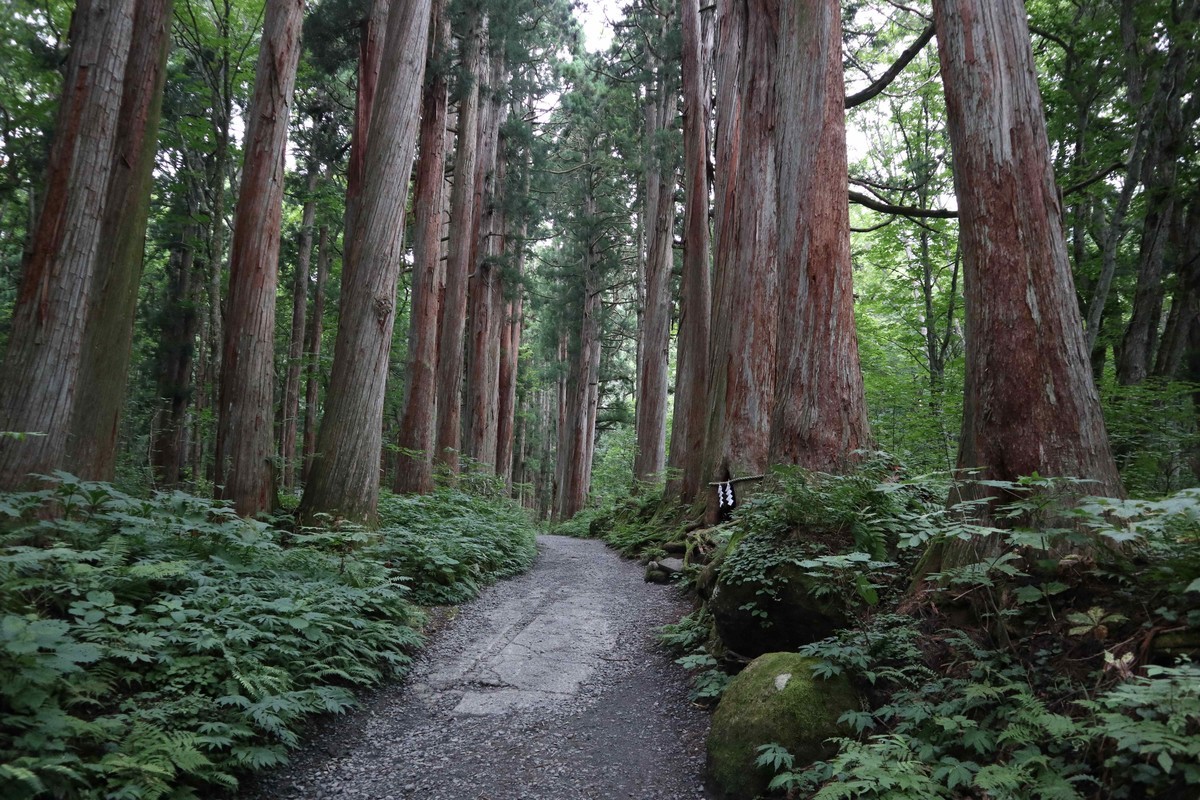 f:id:lupoGTI:20210807114632j:plain