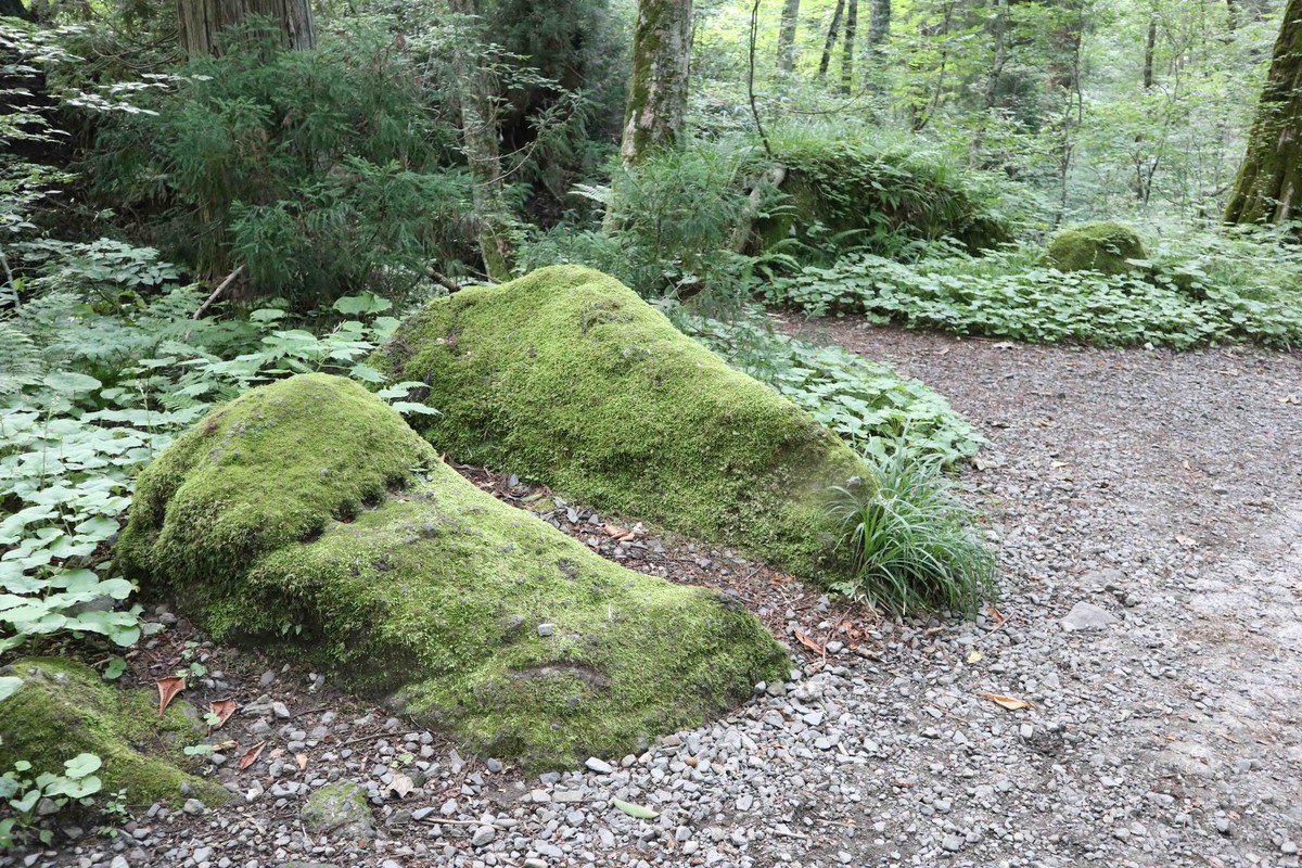 f:id:lupoGTI:20210807132159j:plain