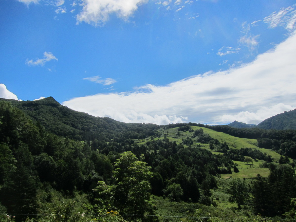 f:id:lupoGTI:20210820133225j:plain