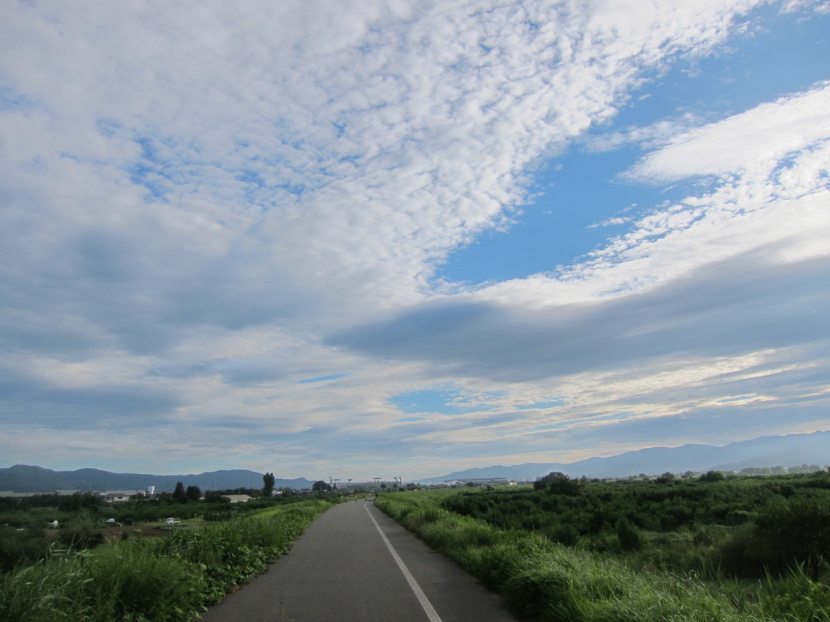 f:id:lupoGTI:20210820133350j:plain