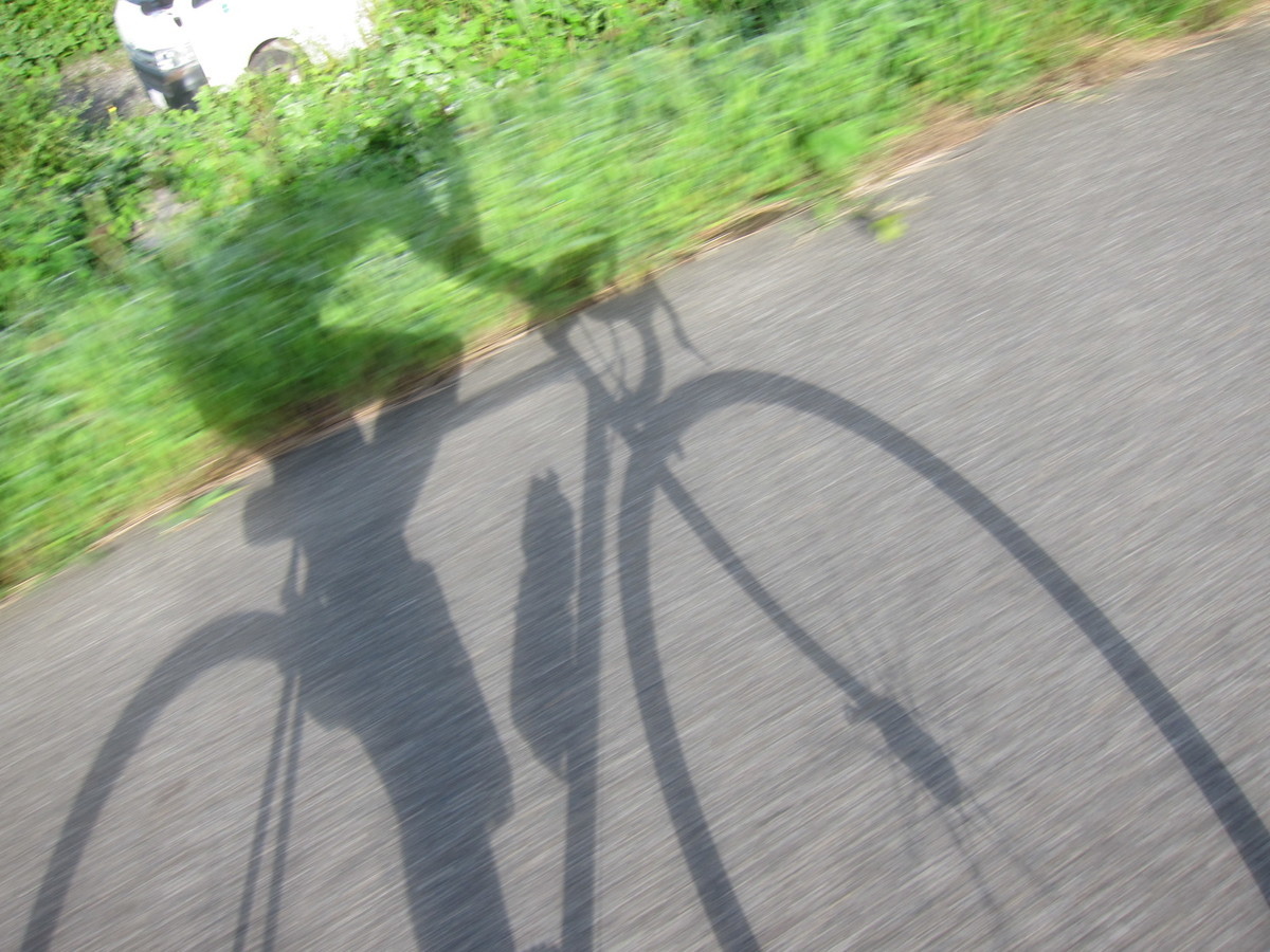 f:id:lupoGTI:20210820133358j:plain