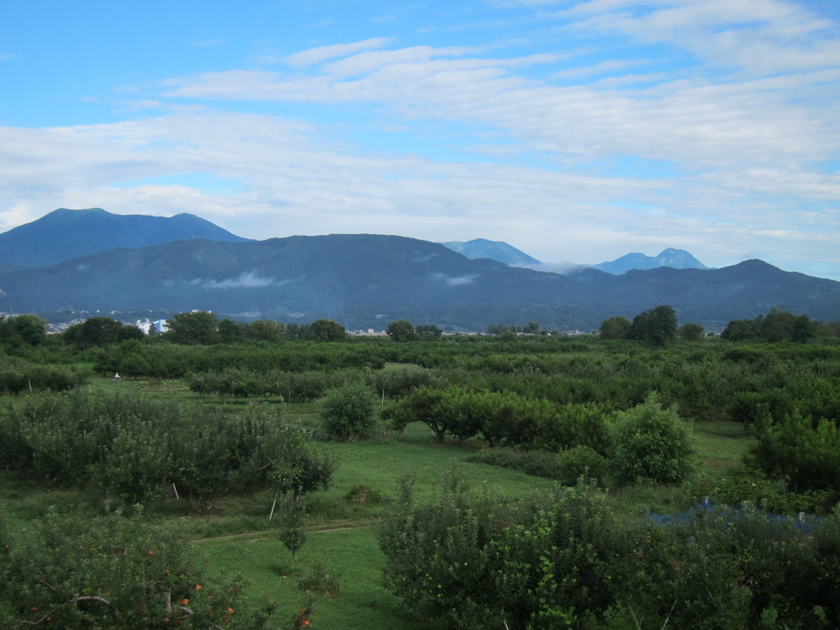 f:id:lupoGTI:20210820133433j:plain