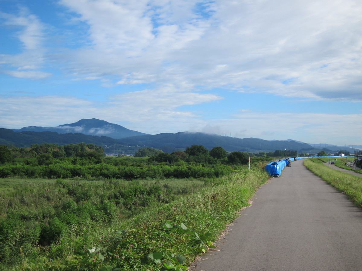 f:id:lupoGTI:20210820133444j:plain