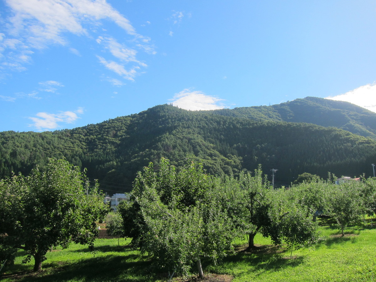 f:id:lupoGTI:20210820133522j:plain