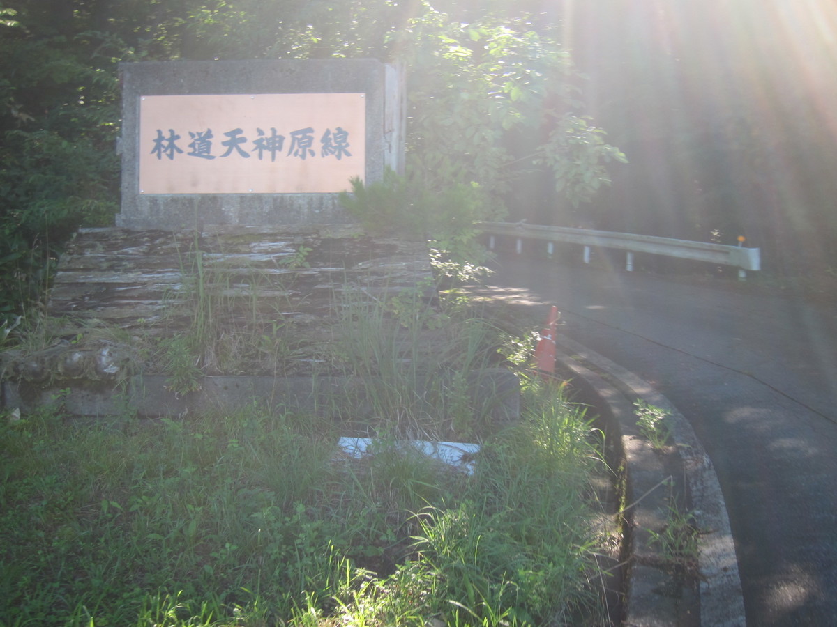 f:id:lupoGTI:20210820133623j:plain